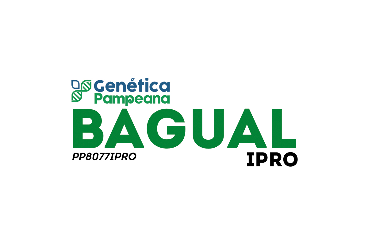 BAGUAL IPRO