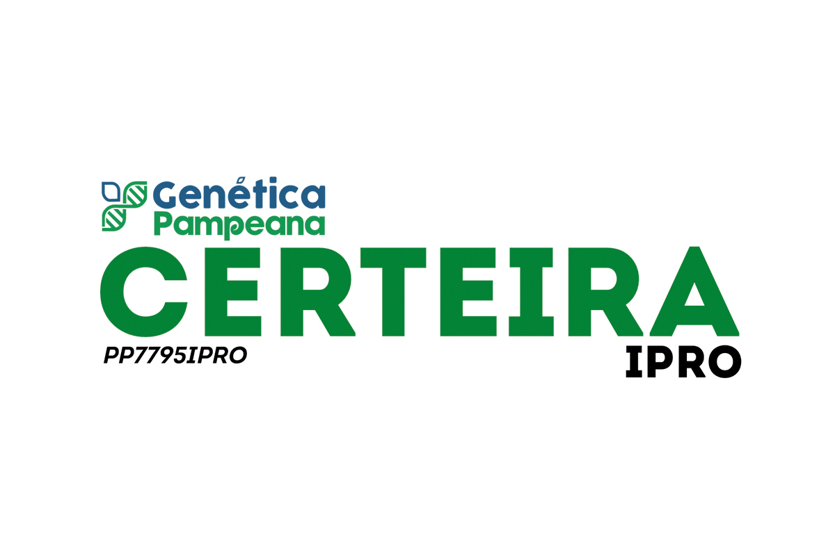CERTEIRA IPRO