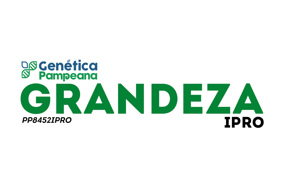 GRANDEZA IPRO