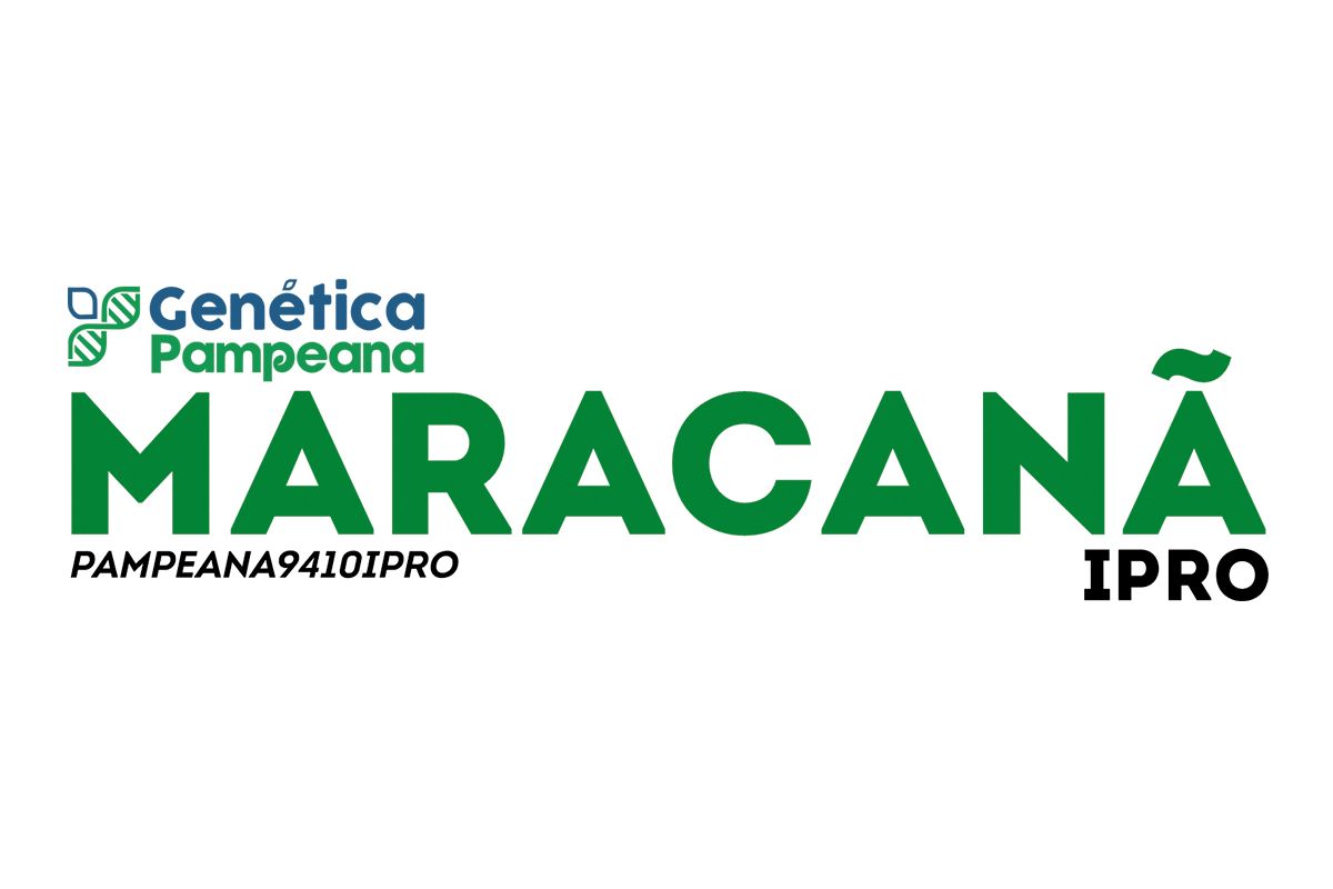 MARACANÃ IPRO