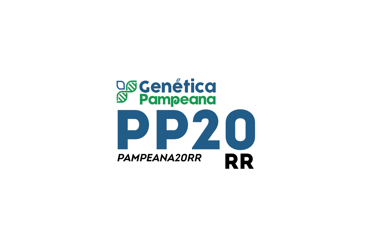 PP20RR