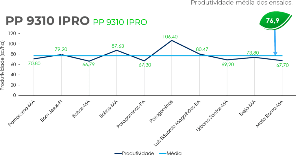 GRAFICO PP9310 SITE
