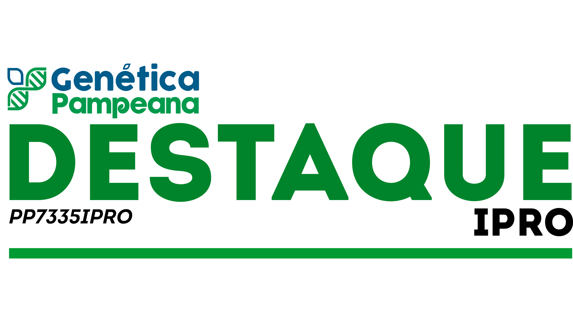 Destaque IPRO