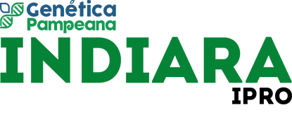 indiara 1