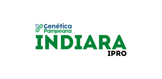 indiara 2